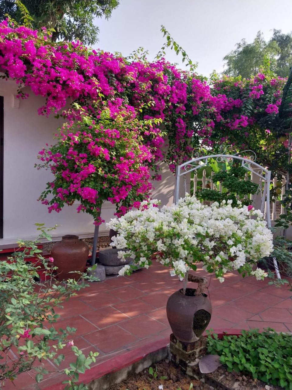 Nha Xanh Homestay Ninh Bình Exteriör bild