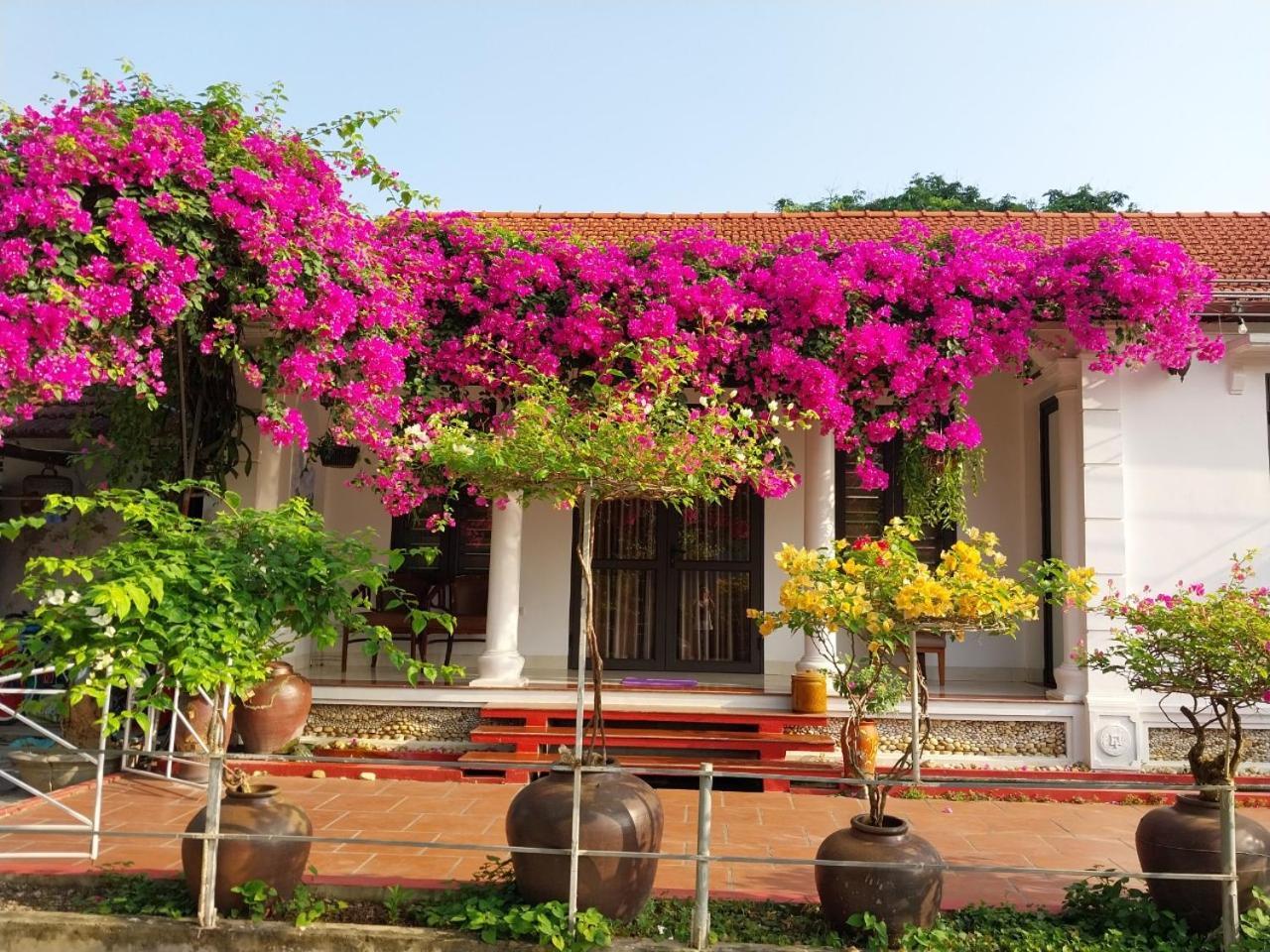 Nha Xanh Homestay Ninh Bình Exteriör bild