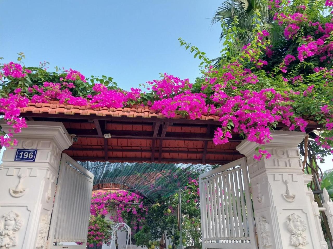 Nha Xanh Homestay Ninh Bình Exteriör bild